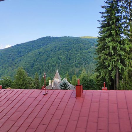 Ferienwohnung Cozy Loft At Teleferic Sinaia Exterior foto