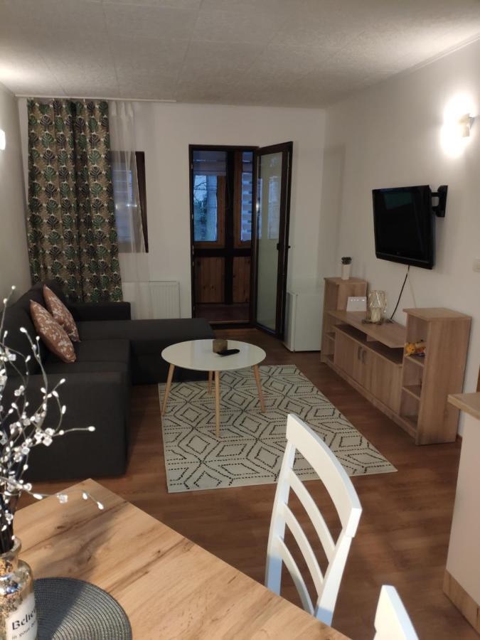 Ferienwohnung Cozy Loft At Teleferic Sinaia Exterior foto